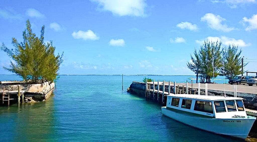 Green Turtle Club Resort & Marina Green Turtle Cay Εξωτερικό φωτογραφία