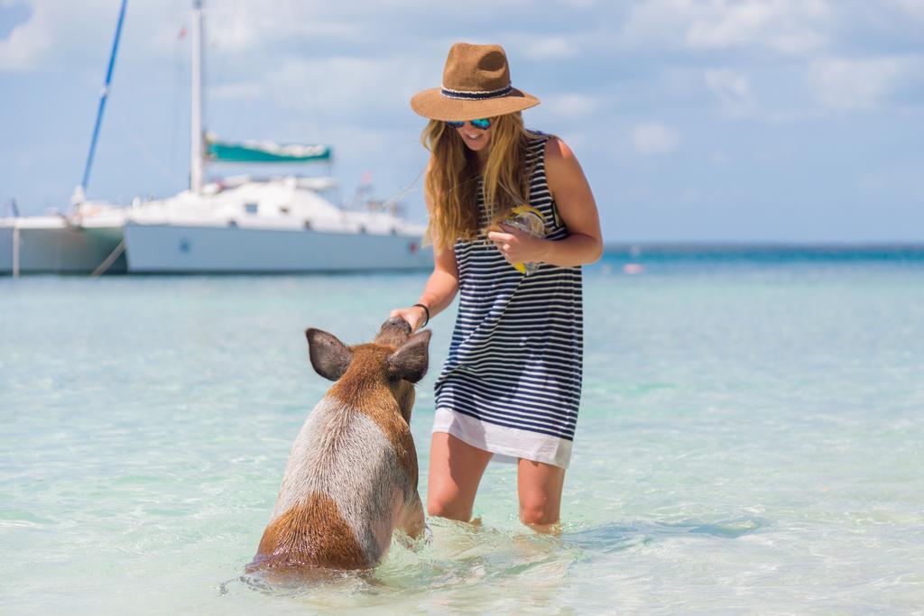 Green Turtle Club Resort & Marina Green Turtle Cay Εξωτερικό φωτογραφία