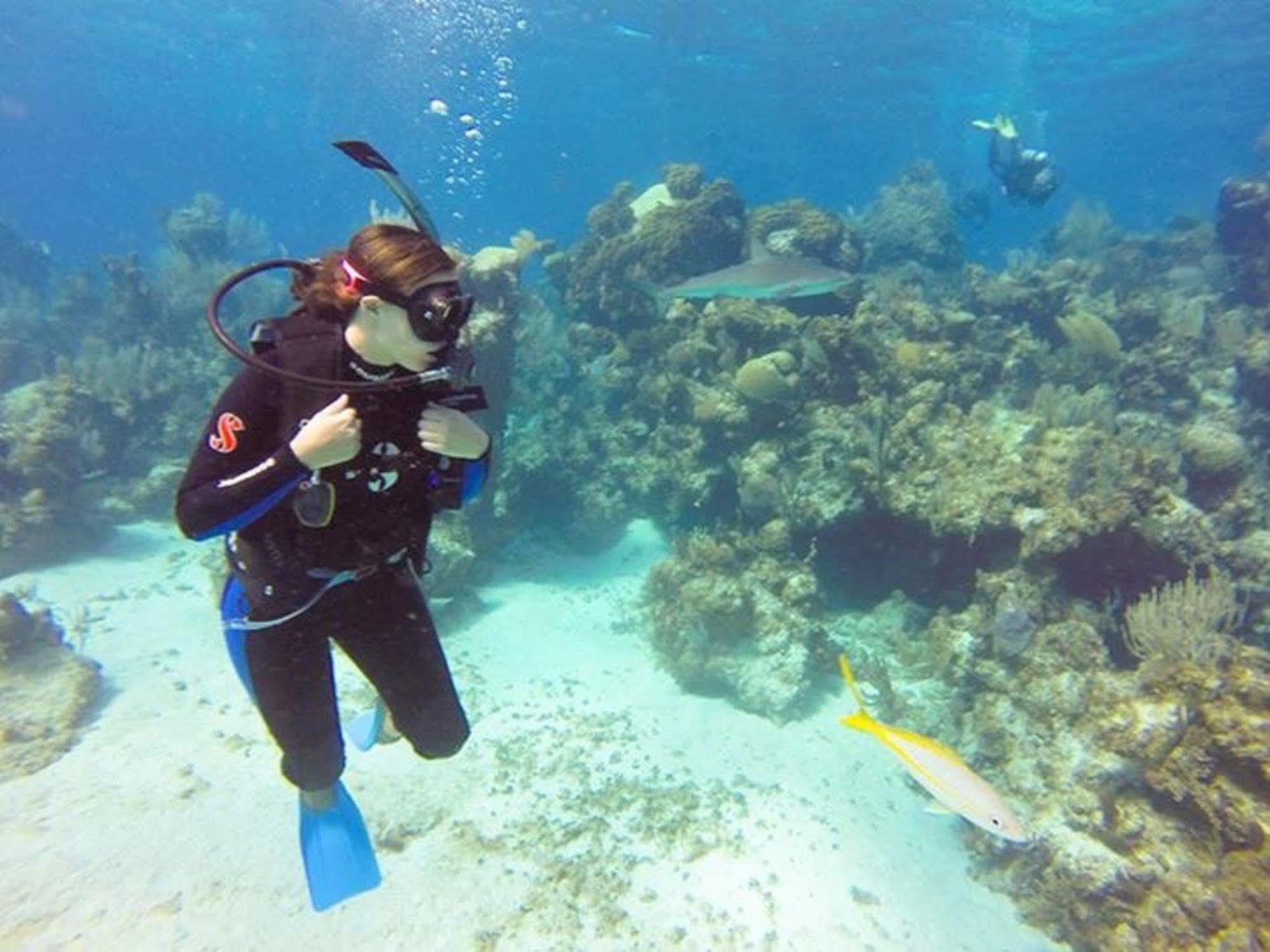 Green Turtle Club Resort & Marina Green Turtle Cay Εξωτερικό φωτογραφία