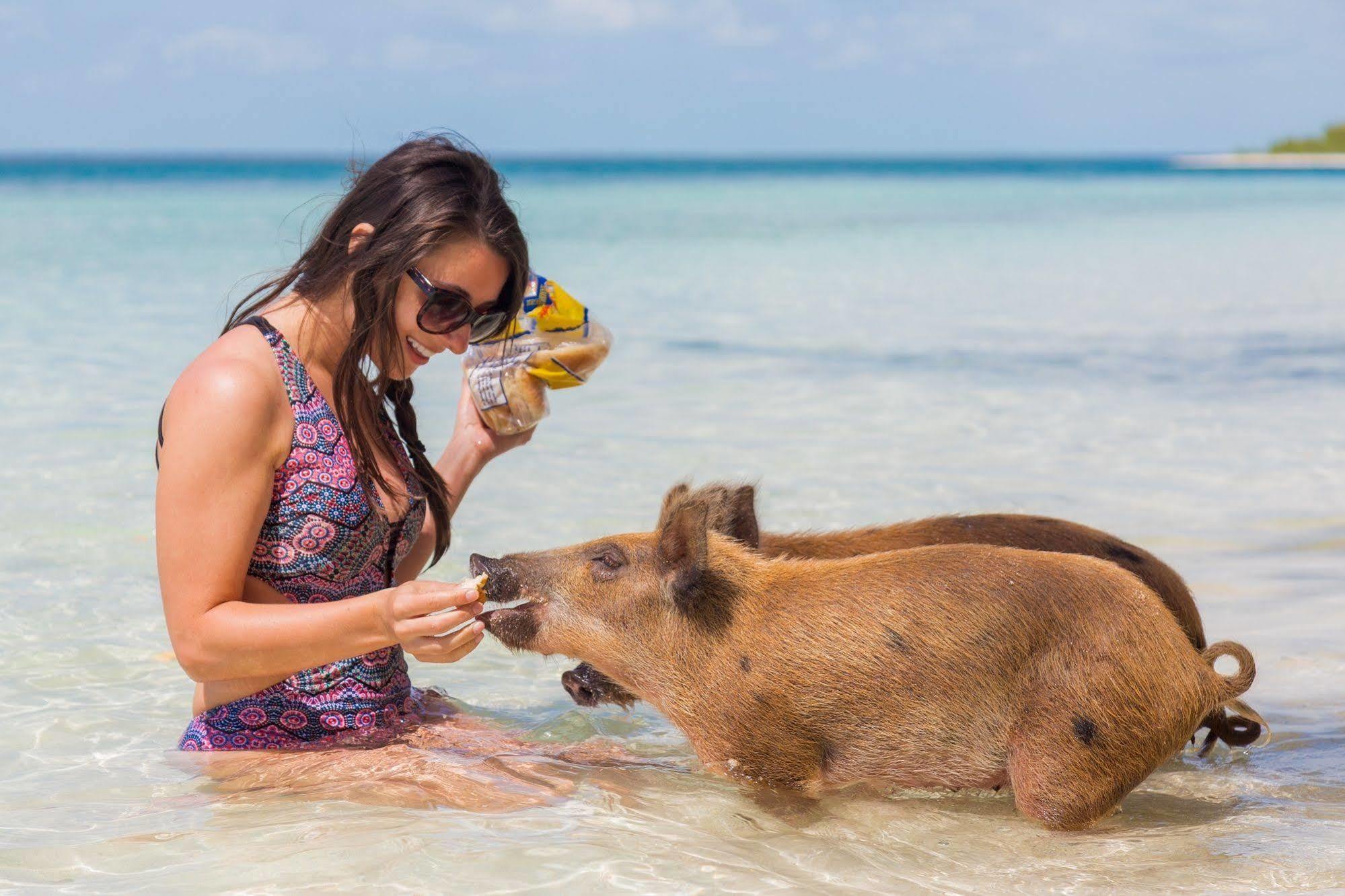 Green Turtle Club Resort & Marina Green Turtle Cay Εξωτερικό φωτογραφία